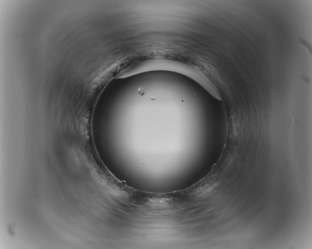 X0000099380450200805151622