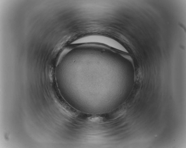 X0000099380452200805151622