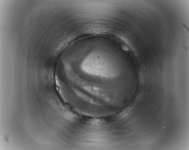 X0000099380453200805151622