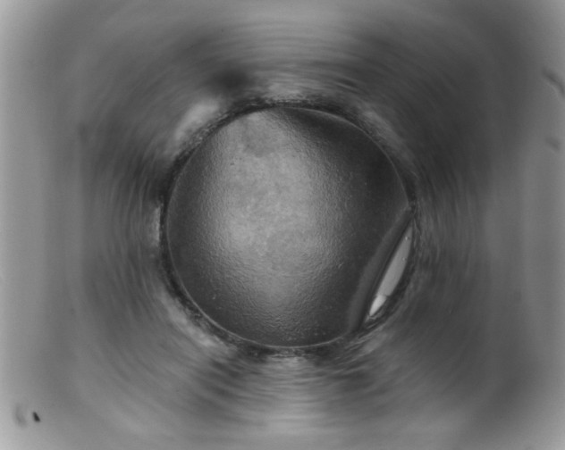 X0000099380454200805151622