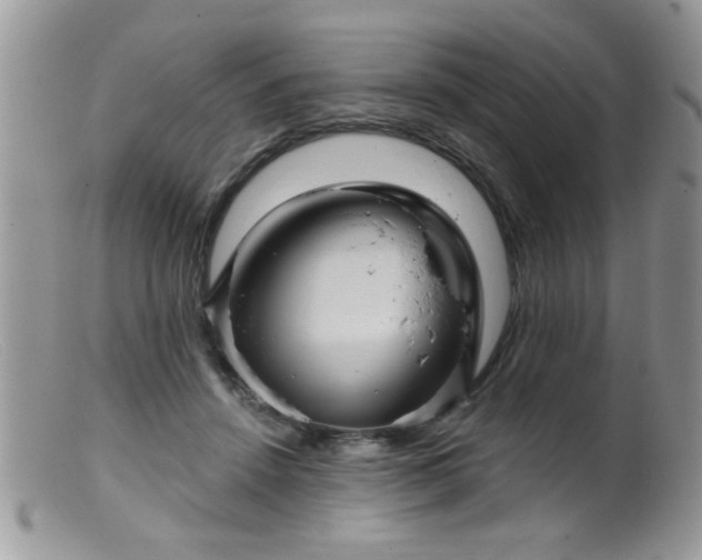 X0000099380456200805151622