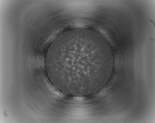 X0000099380457200805151622