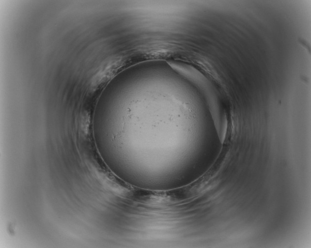 X0000099380458200805151622