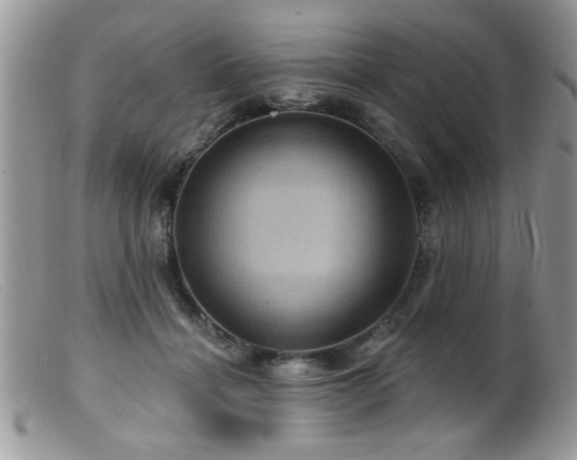 X0000099380460200805151622