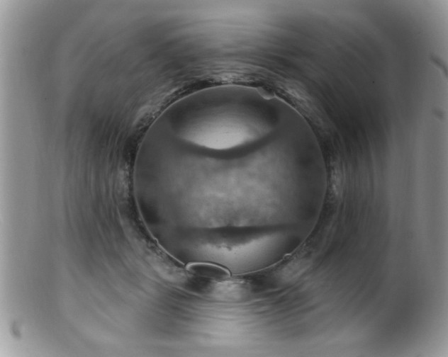 X0000099380461200805151622