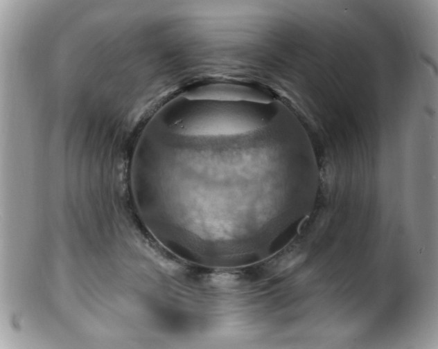 X0000099380462200805151622