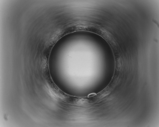 X0000099380463200805151622