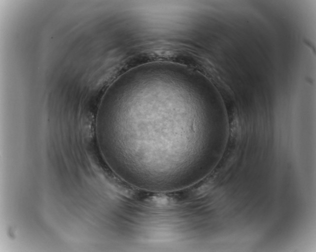 X0000099380464200805151622