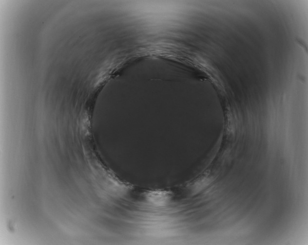 X0000099380465200805151622