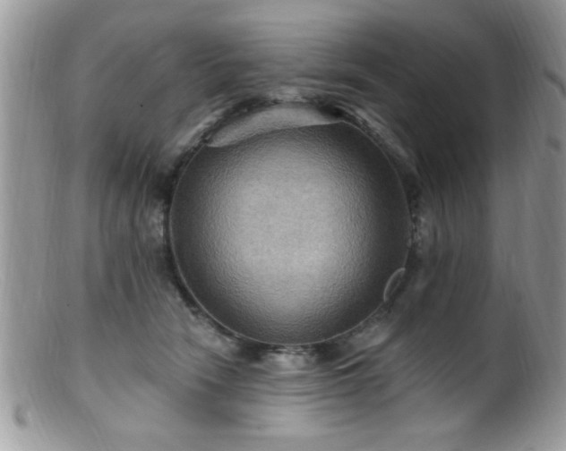 X0000099380466200805151622