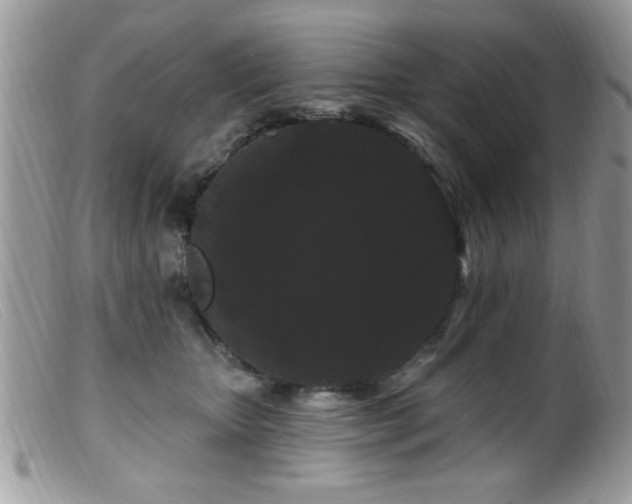 X0000099380467200805151623