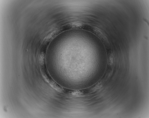 X0000099380468200805151623