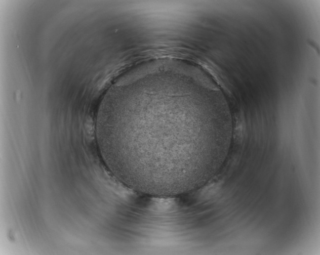 X0000099380469200805151623