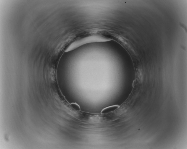 X0000099380470200805151623