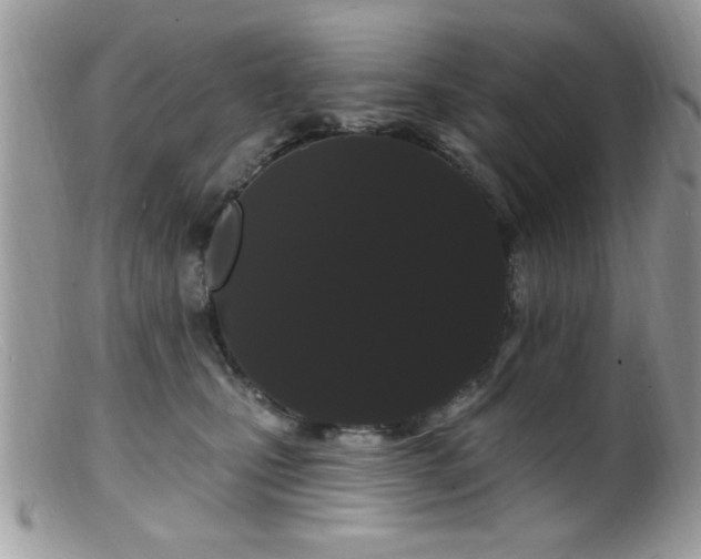 X0000099380471200805151623