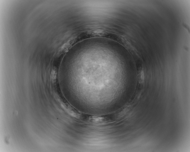 X0000099380472200805151623