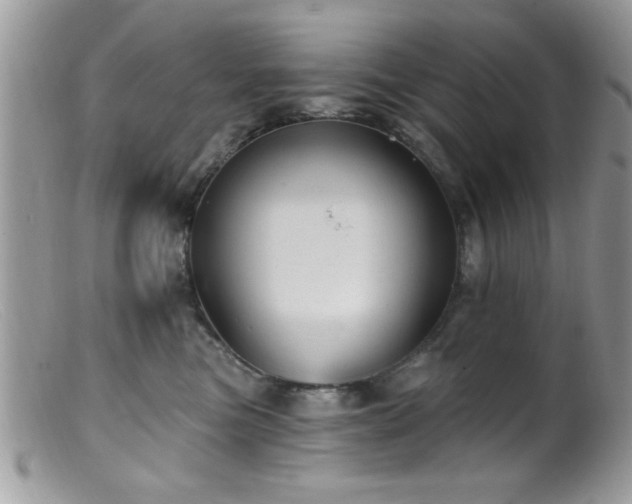 X0000099380473200805151623