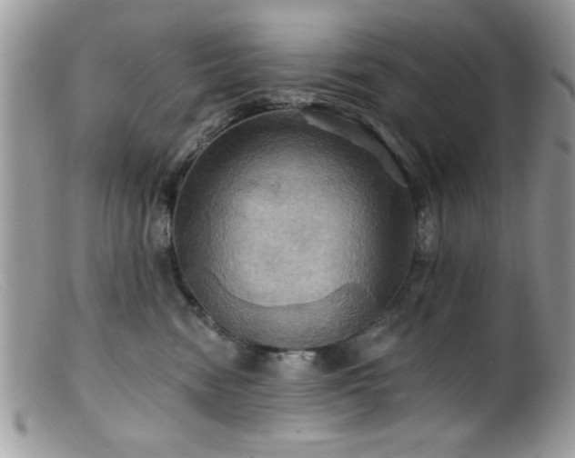 X0000099380474200805151623