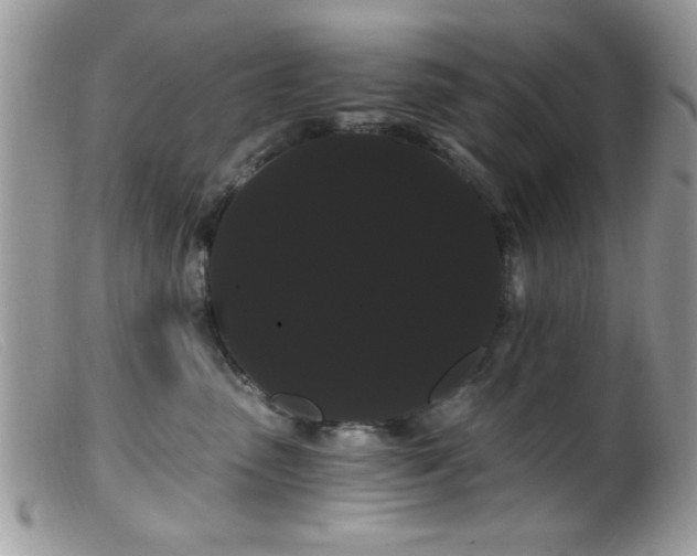 X0000099380475200805151623