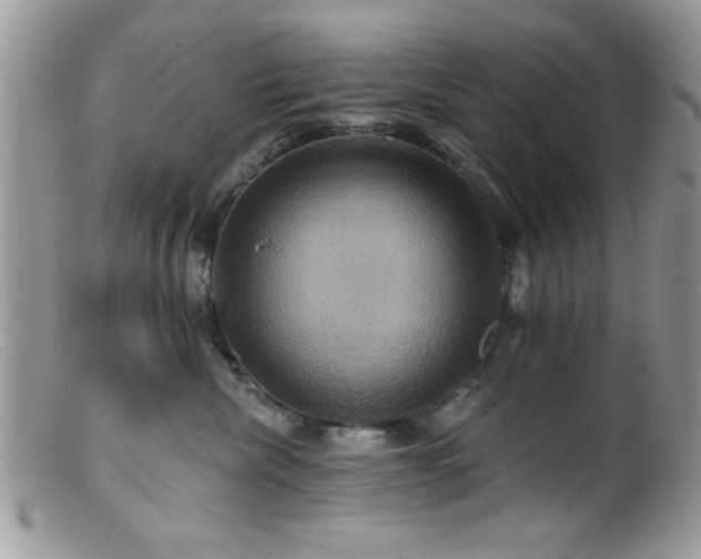 X0000099380476200805151623