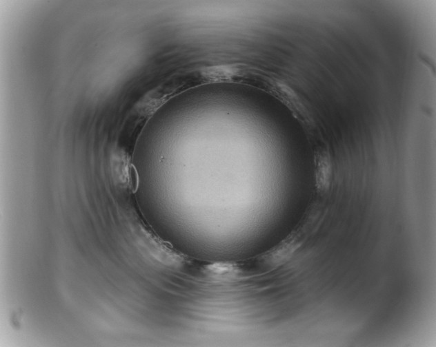 X0000099380477200805151623