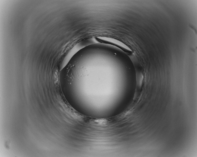 X0000099380478200805151623