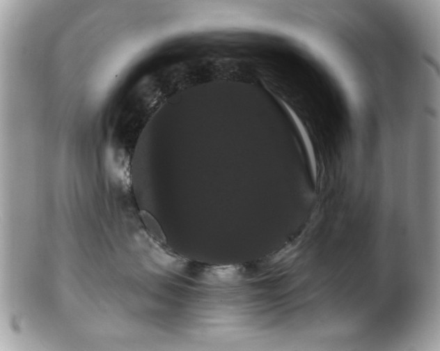 X0000099380479200805151623