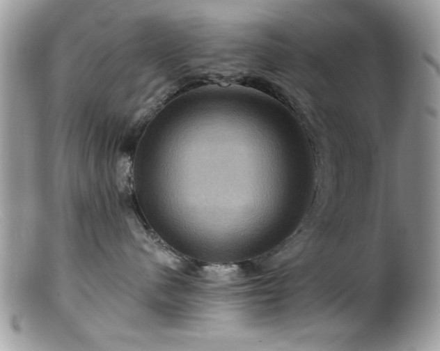 X0000099380480200805151623