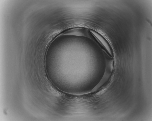 X0000099380481200805151622