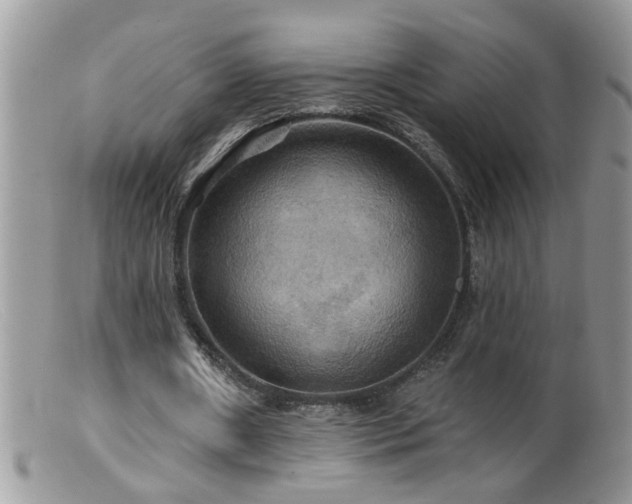 X0000099380482200805151622