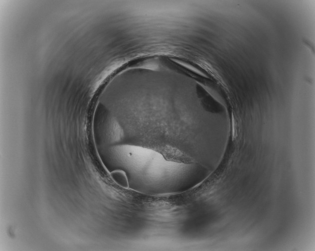 X0000099380483200805151622