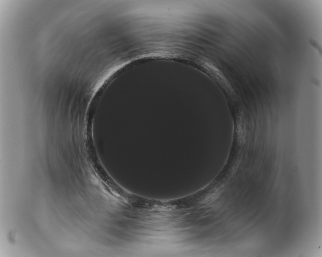 X0000099380484200805151622