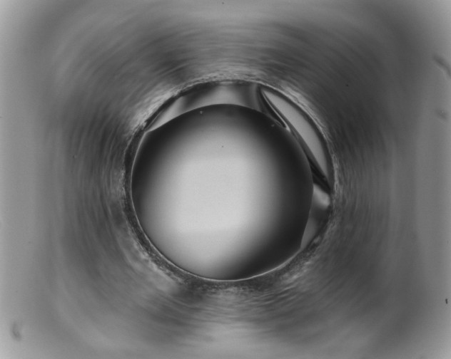 X0000099380485200805151622