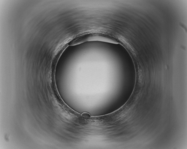 X0000099380486200805151622