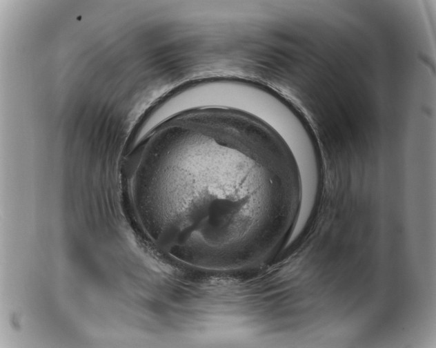 X0000099380487200805151622