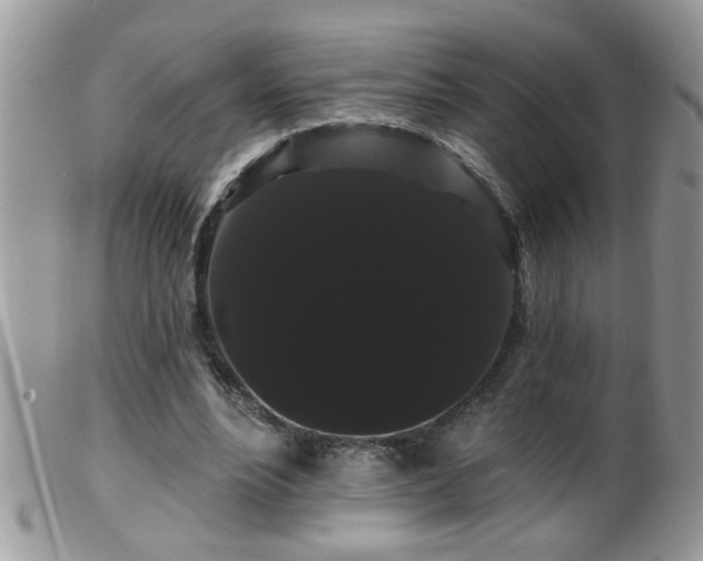 X0000099380488200805151622