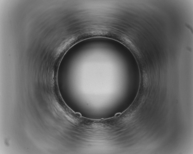 X0000099380490200805151622