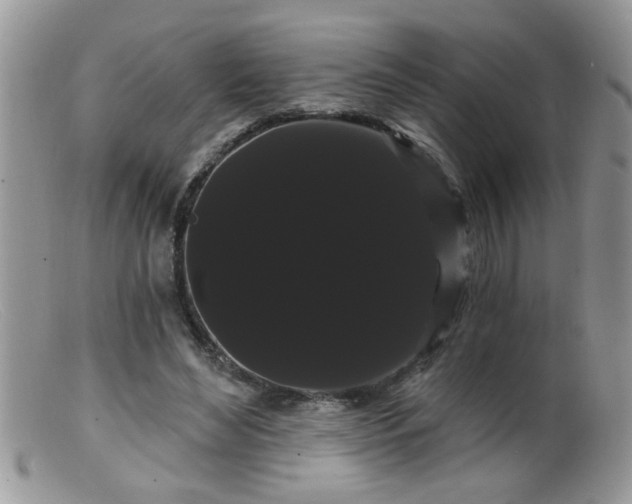 X0000099380492200805151622