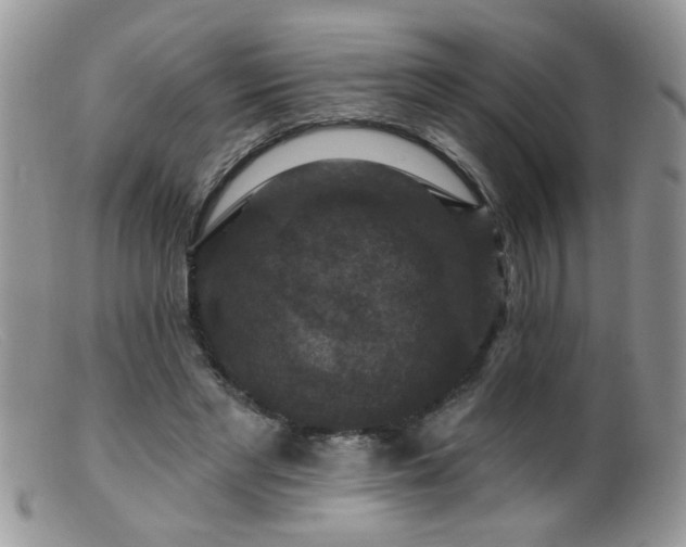 X0000099380493200805151622