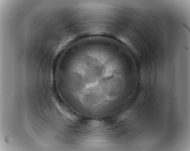 X0000099380494200805151622