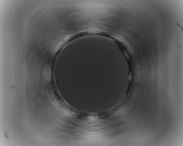 X0000099380496200805151622