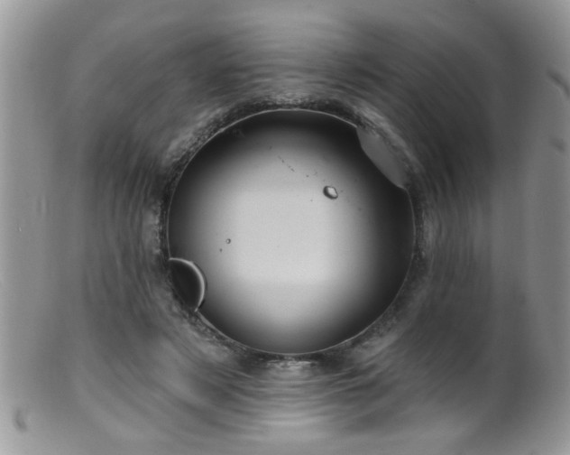 X0000099380497200805151622