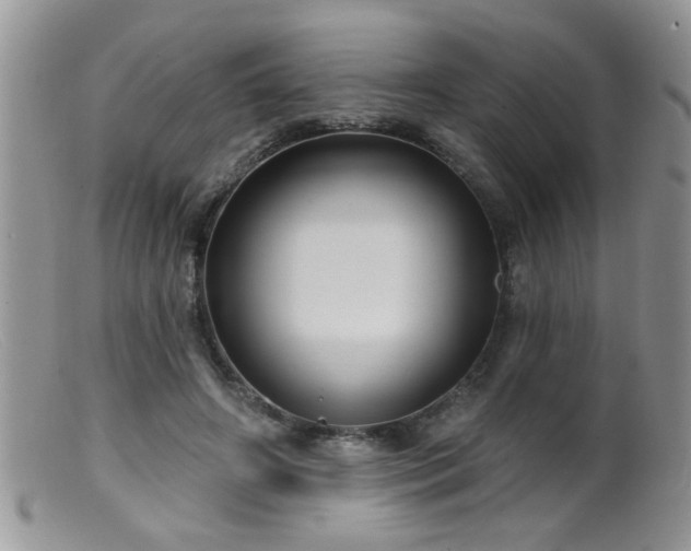 X0000099380498200805151622