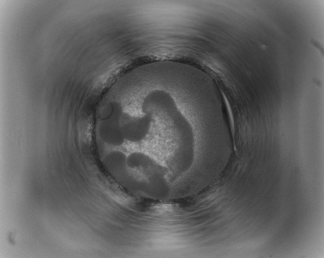 X0000099380499200805151622