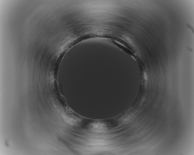 X0000099380500200805151622