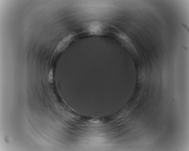 X0000099380502200805151622