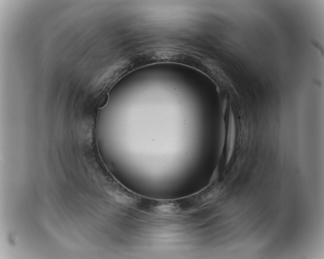 X0000099380505200805151622