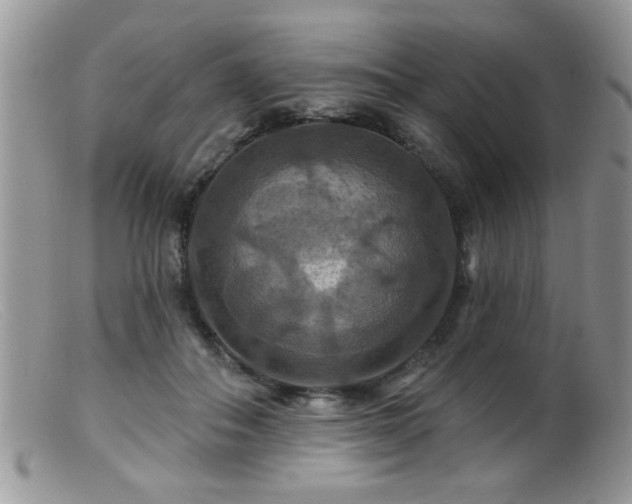 X0000099380506200805151622