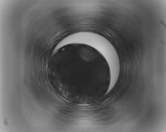 X0000099380507200805151621