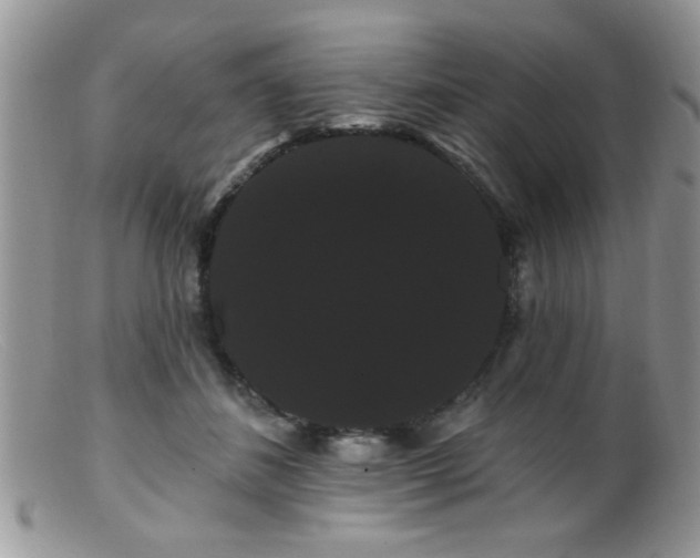 X0000099380508200805151621